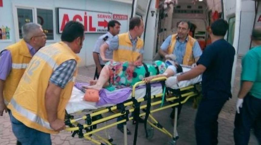 Otomobil G&ouml;ksu &Ccedil;ayı'na Devrildi: 5 Yaralı