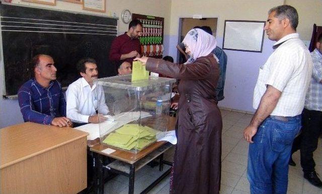 Bing&ouml;l&rsquo;de Se&ccedil;im Heyecanı Başladı 1