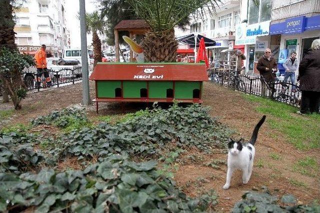 Hayvanseverlerden Başkan Akpınar’a Ödül