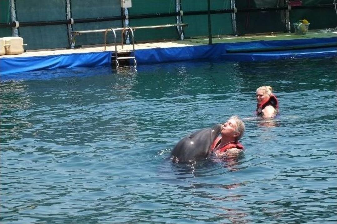 Yunuslar İ&ccedil;in Eylem Yaptılar