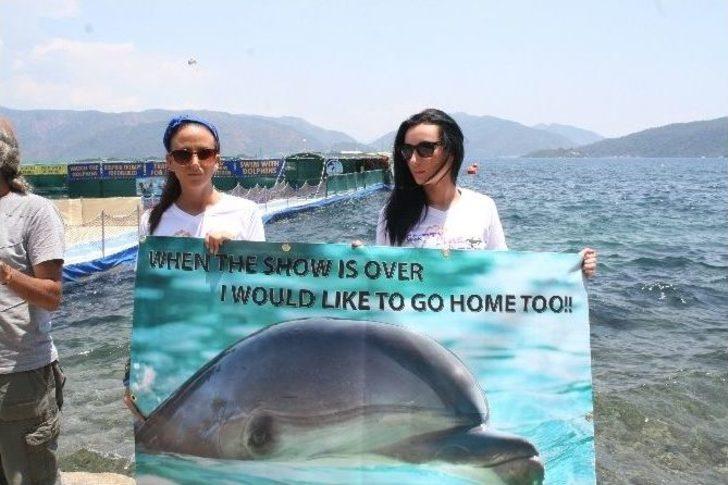 Yunuslar İçin Eylem Yaptılar G1