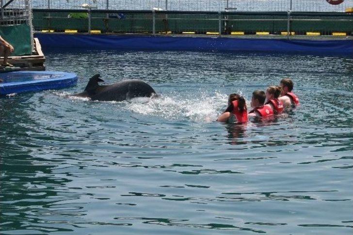 Yunuslar İçin Eylem Yaptılar G4