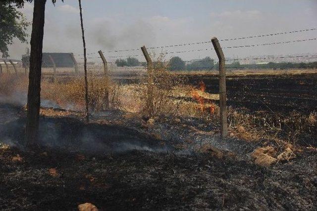 Cezaevi Yakınındaki Arazide Anız Yangını Korkuttu