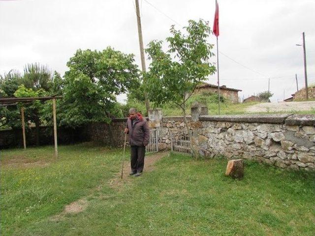 G&ouml;rme Engelli Vatandaş Asasıyla Tek Başına Gelip Oy Kullandı 1