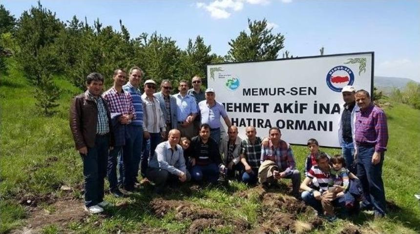 Memur Sen Kurucu Başkan Mehmet Akif İnan Anısına 14 Bin Fidan Dikti
