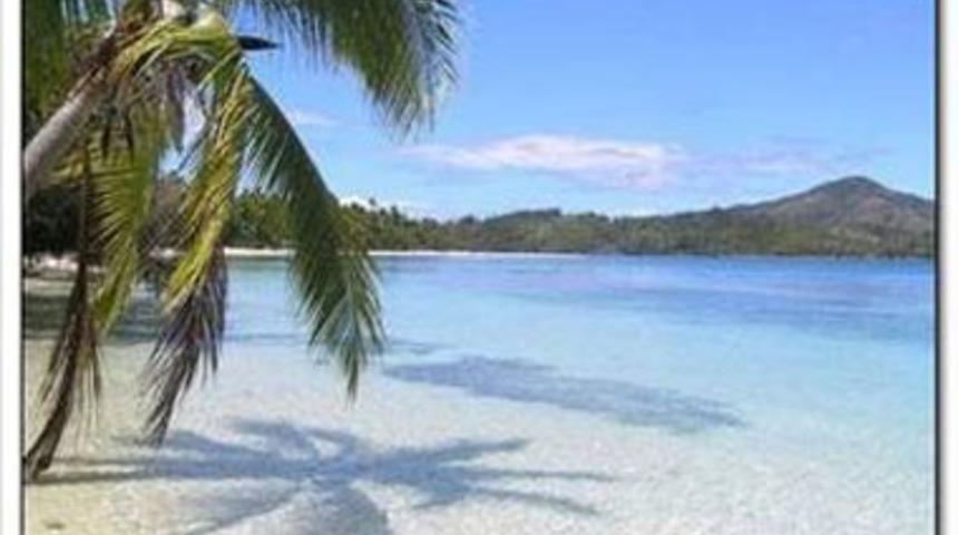  6-Ilha de Queimada Grande; Brezilya (Yılan Adası)