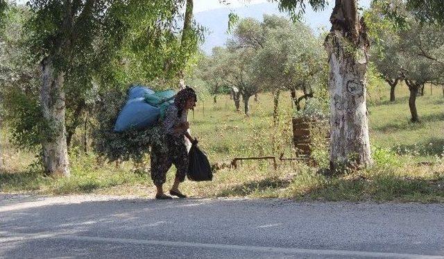 Sevgihan Teyze’nin Hayat Mücadelesi