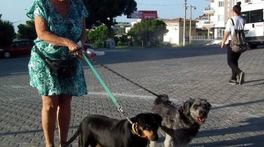 Didim&rsquo;de Yabancılar Sokak Hayvanlarına Sahip &Ccedil;ıkıyor