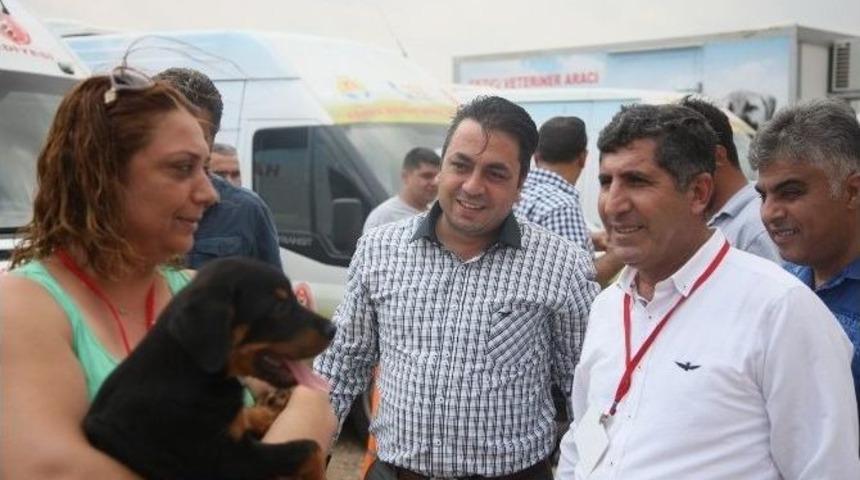 Karayandı: &ldquo;her Canlının Yaşam Hakkına Saygı G&ouml;sterilmeli&rdquo;