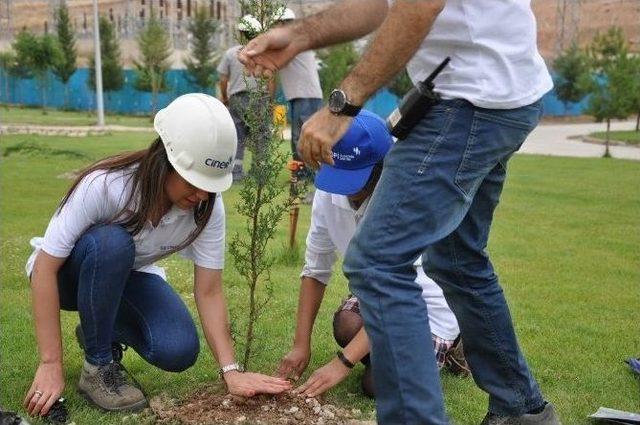 Silopi’de Uçurtma Ve Fidan Dikme Kampanyası