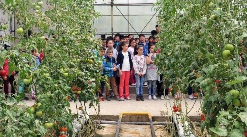 Mamak Belediyesi Gen&ccedil; &Ccedil;evreciler Yetiştiriyor