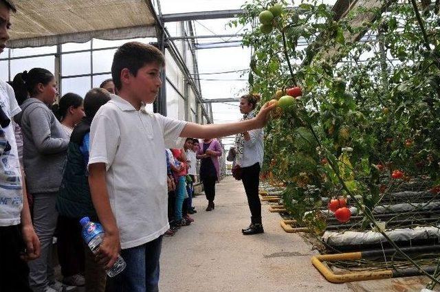 Mamak Belediyesi Genç Çevreciler Yetiştiriyor