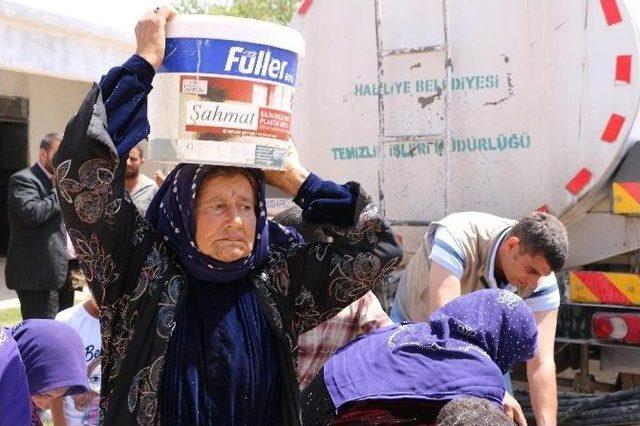Haliliye&rsquo;nin Hizmetleri Sınır Tanımıyor 2