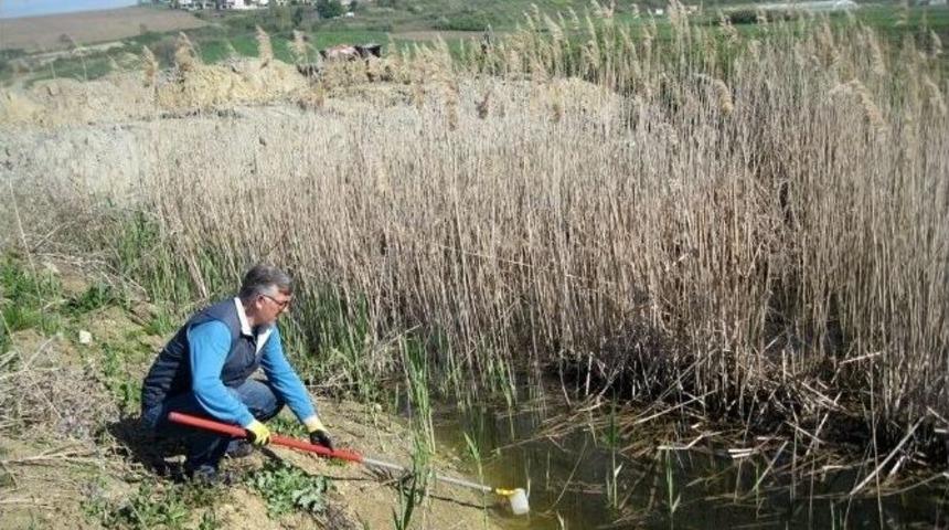 Gelibolu Belediyesi Sinekle M&uuml;cadeleye Devam Ediyor