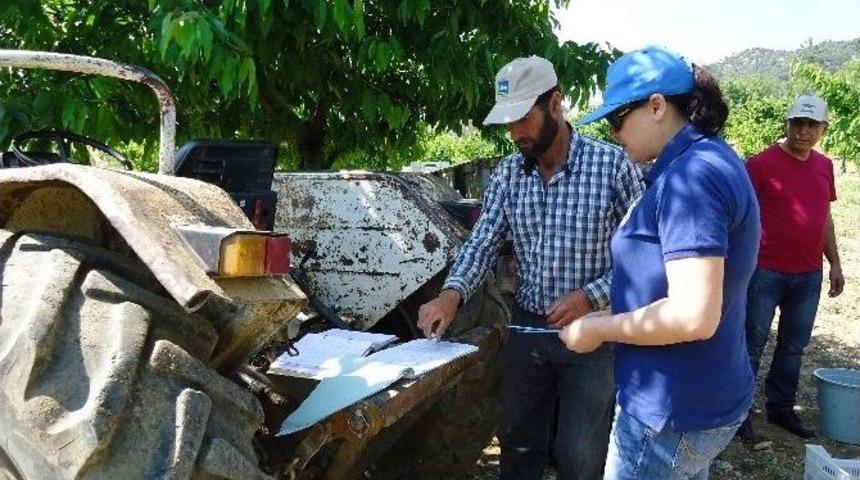 Kiraz Ağa&ccedil;larında Ek&uuml;y Projesi Kapsamında Analiz