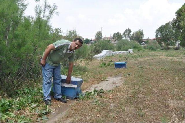 Çalınan Kovanları Bulana 2 Bin Tl Ödül