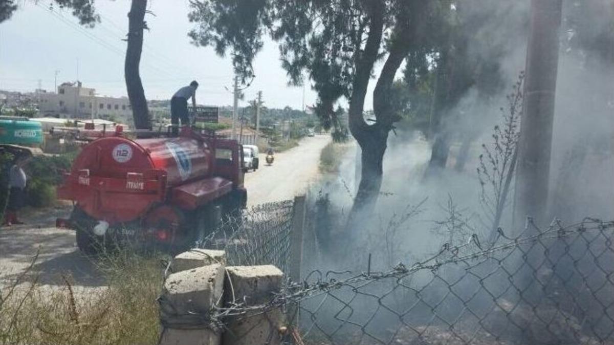Ormanlık Alandaki Yangın, Ağa&ccedil;lar Zarar G&ouml;rmeden S&ouml;nd&uuml;r&uuml;ld&uuml;