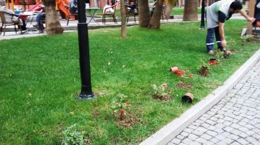 İzmit Parkları &Ccedil;i&ccedil;ek A&ccedil;tı