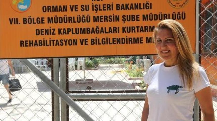 Deniz Kaplumbağaları Sahile Yumurta Bırakmaya Başladı