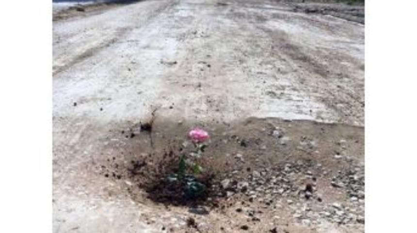 Bozuk Yola G&uuml;l Ektiler