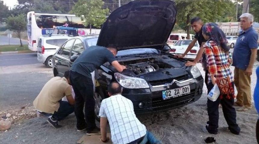 Adıyaman&rsquo;da Vatandaşlar Kedi İ&ccedil;in Seferber Oldu
