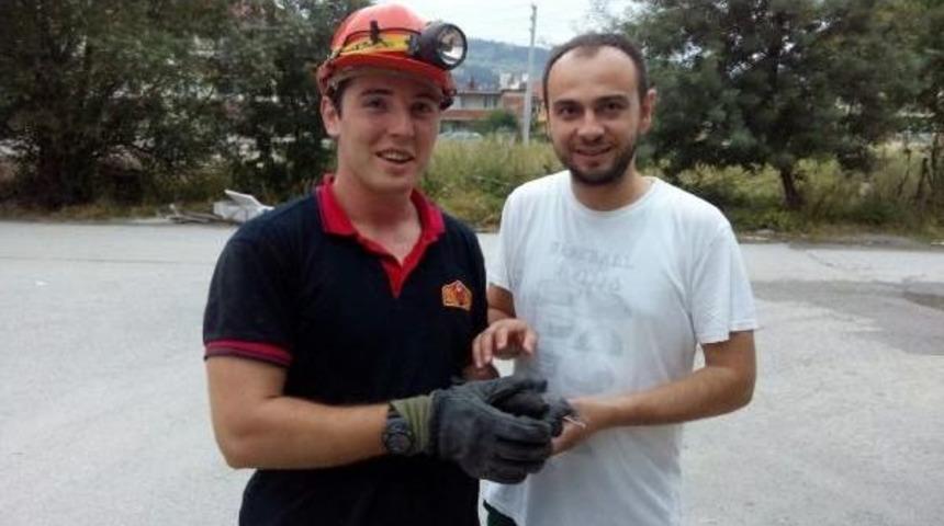 İtfaiye, Havalandırma Boşluğundaki Kargayı Kurtardı