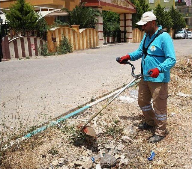 Artan Anız Yangınları Üzerine Belediye Yabani Otları Temizliyor