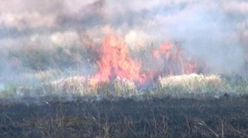 600 Ton Hububat Yangında K&uuml;l Oldu