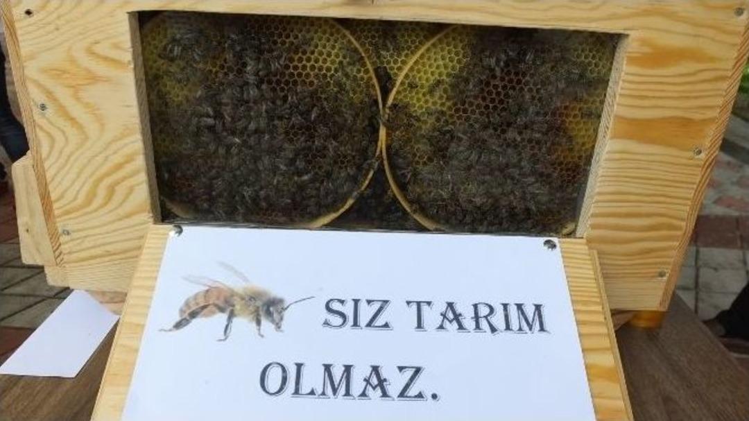 İvrindi&rsquo;de Panayır Gibi Halk Eğitim Sergisi