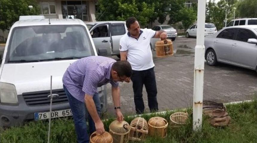 Iğdır&rsquo;da Ka&ccedil;ak Keklik Avcısına Ceza