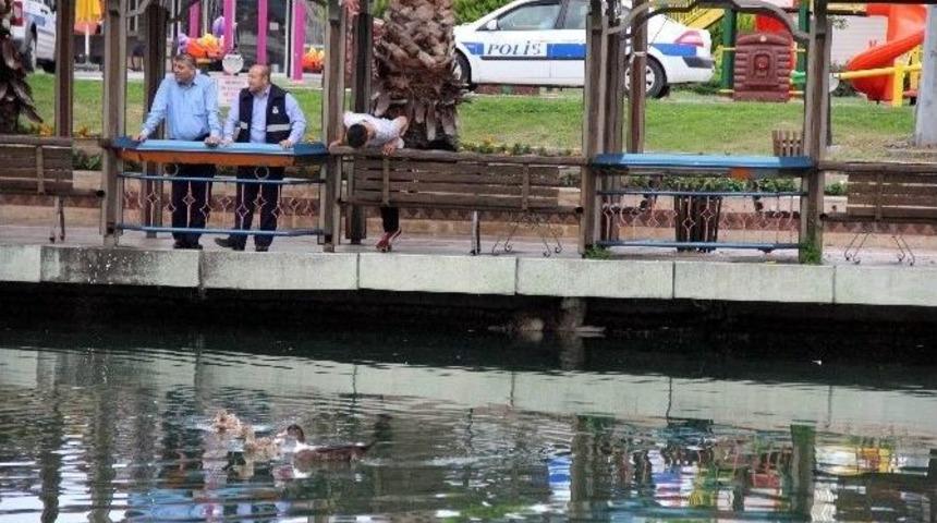 G&ouml;le D&uuml;şen K&ouml;peği Kurtarma Operasyonu