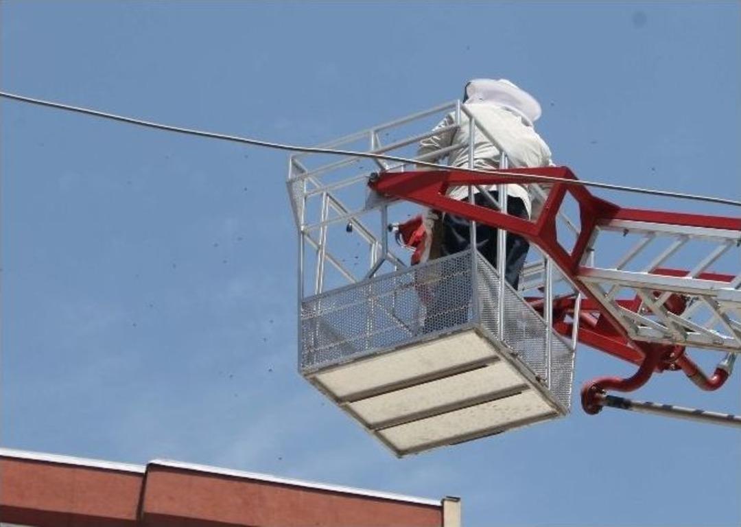 Cami Sa&ccedil;ağındaki Arıları Almak İsterken Şehri Arılar Bastı