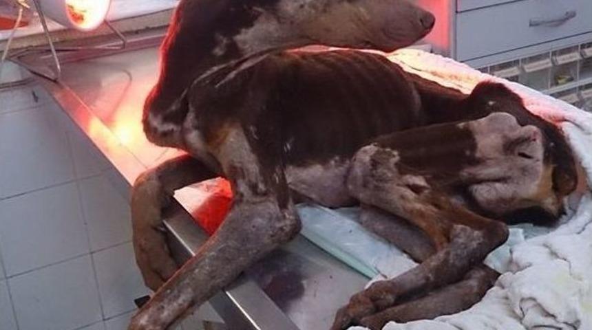 Lucky&rsquo;in İnanılmaz Değişimi