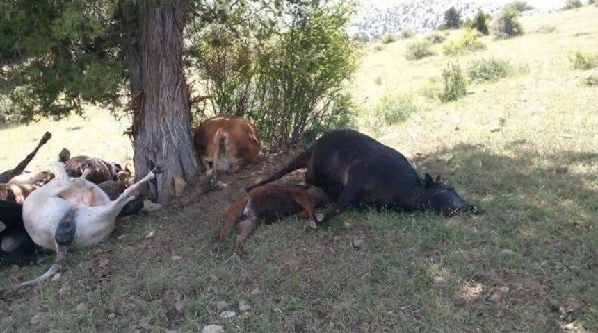 Isparta&rsquo;da Yıldırım D&uuml;şt&uuml;