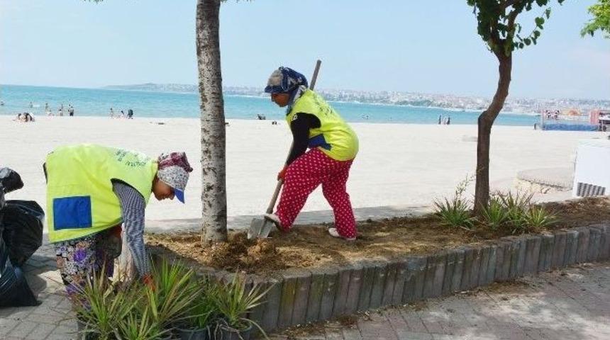 B&uuml;y&uuml;k&ccedil;ekmece&rsquo;ye Kadın Eli Değiyor