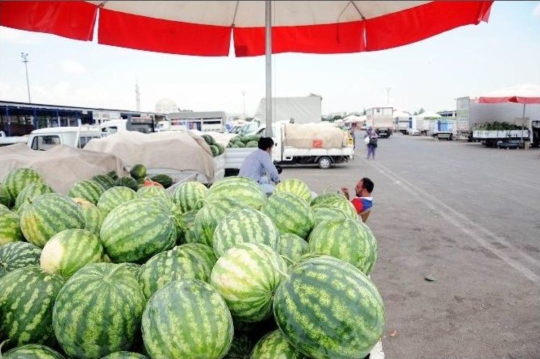 10 Kuruşluk Antalya Karpuzu Elde Kaldı