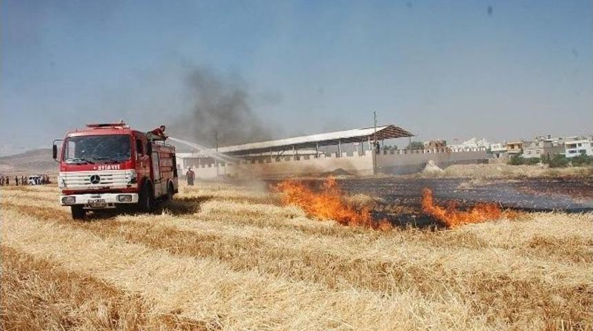 Adıyaman&rsquo;da 80 D&ouml;n&uuml;ml&uuml;k Tarla K&uuml;l Oldu
