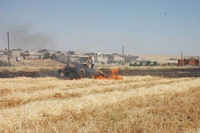 Adıyaman’da 80 Dönümlük Tarla Kül Oldu