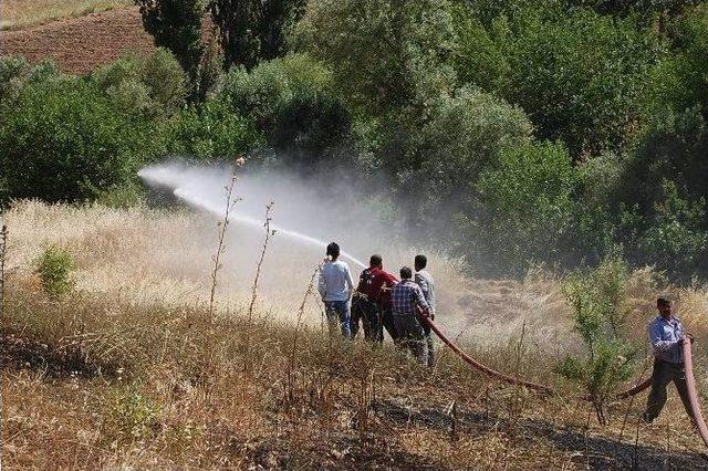 Adıyaman’da 80 Dönümlük Tarla Kül Oldu