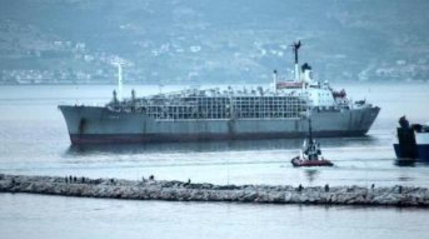 Uruguay&rsquo;Dan 9 Bin 250 Besilik B&uuml;y&uuml;kbaş Hayvan Ithal Edildi