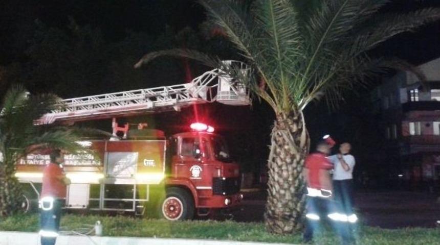 İtfaiyeden Ağaca Sıkışan Yavru Kedi İ&ccedil;in Operasyon