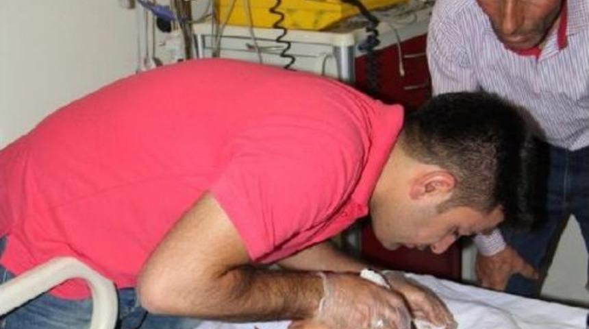 Van'da Sokak K&ouml;peği 9 &Ccedil;ocuğu Isırdı