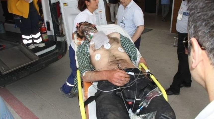 Arıların Saldırısına Uğrayan Adam Hastanelik Oldu