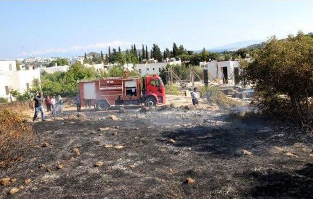 Bodrum'da Tarım Arazisinde Yangın