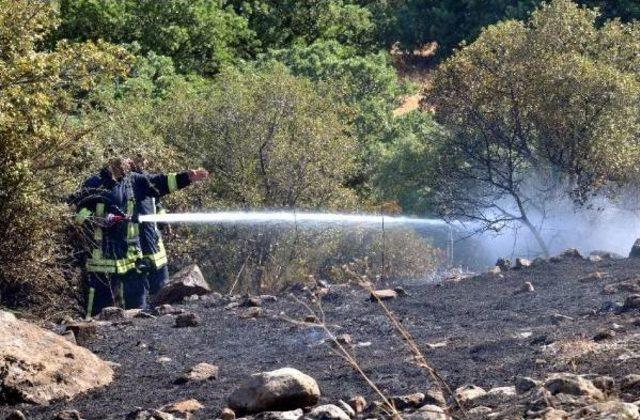 Bodrum'da Tarım Arazisinde Yangın