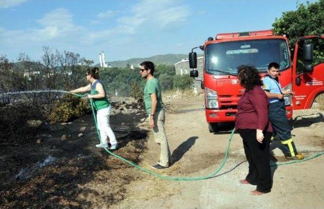 Bodrum'da Tarım Arazisinde Yangın