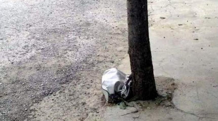 Cadde &Uuml;zerine Bırakılan Bayan &Ccedil;antası Korkuttu