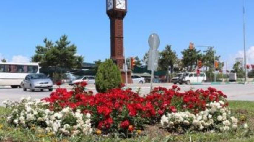 Beyşehir&rsquo;de &Ccedil;i&ccedil;eklendirme &Ccedil;alışmaları