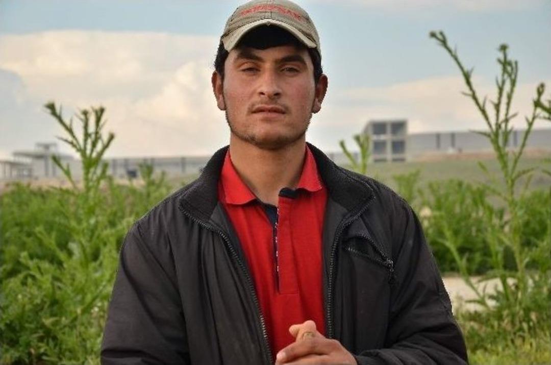 (&ouml;zel Haber) Eskişehir&rsquo;de Esrarengiz K&ouml;pek &Ouml;l&uuml;mleri