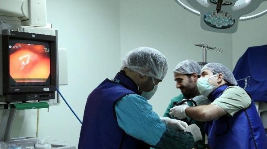 Delik Yemek Borusu Ameliyatsız Olarak Kapatıldı